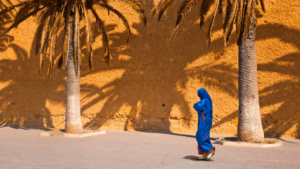 Marruecos - Mujer y Palmeras